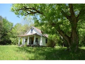 0 Ray Baker Road Kyles Ford, TN 37765 - Photo 6 of 9 Photo 6