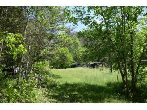0 Ray Baker Road Kyles Ford, TN 37765 - Photo 7 of 9 Photo 7