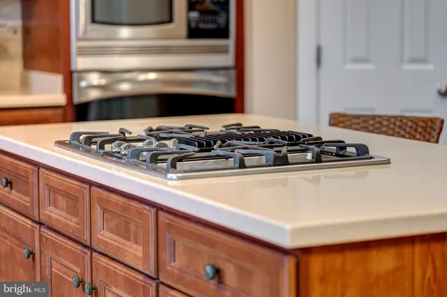 a view of a house with backyard and a garden