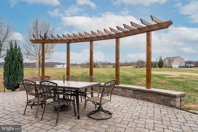 a view of a potted plant