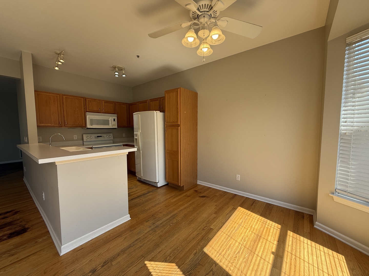 1315 Chestnut Lane Yorkville, IL 60560 - Photo 4 of 17