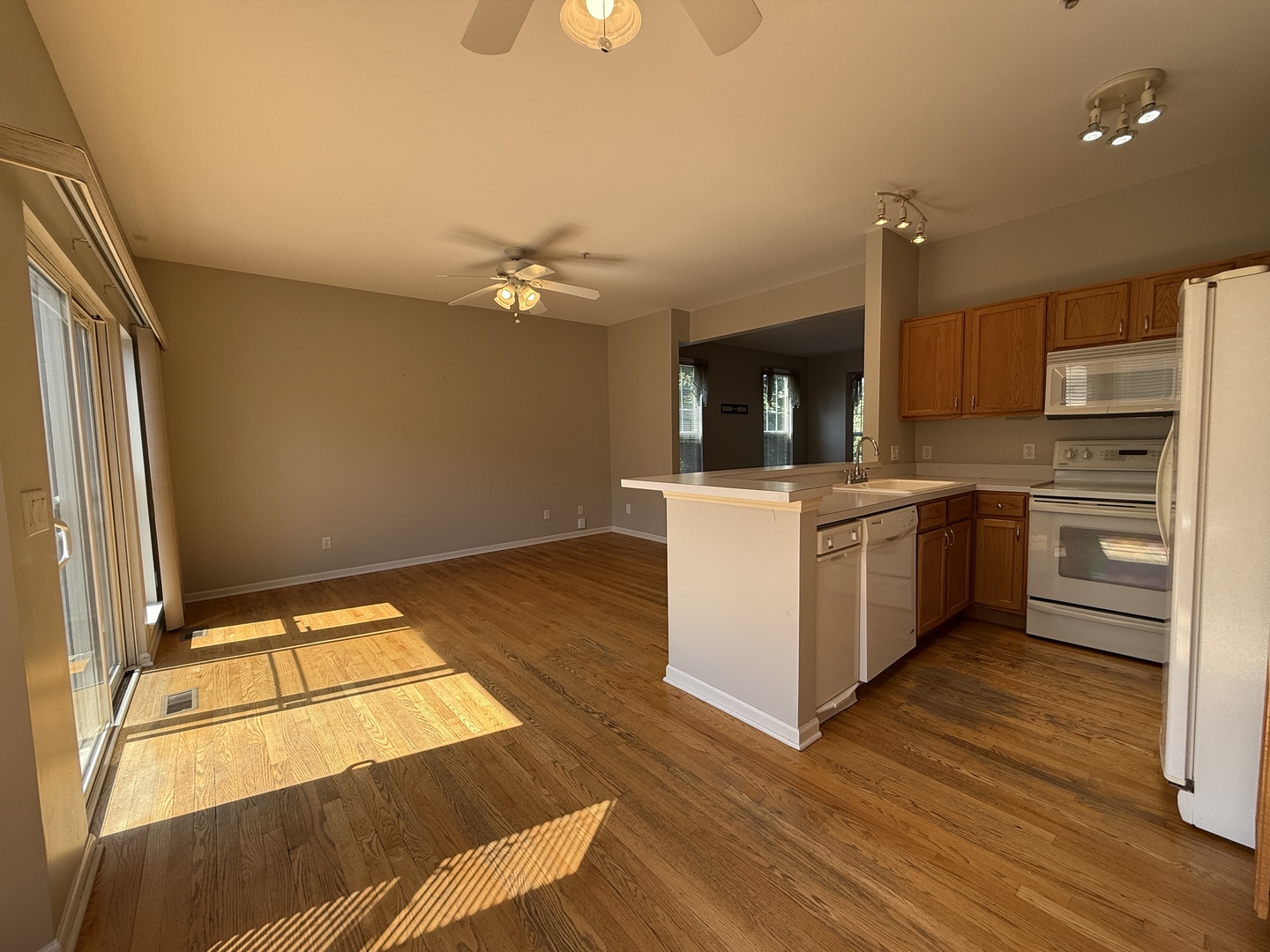 1315 Chestnut Lane Yorkville, IL 60560 - Photo 6 of 17