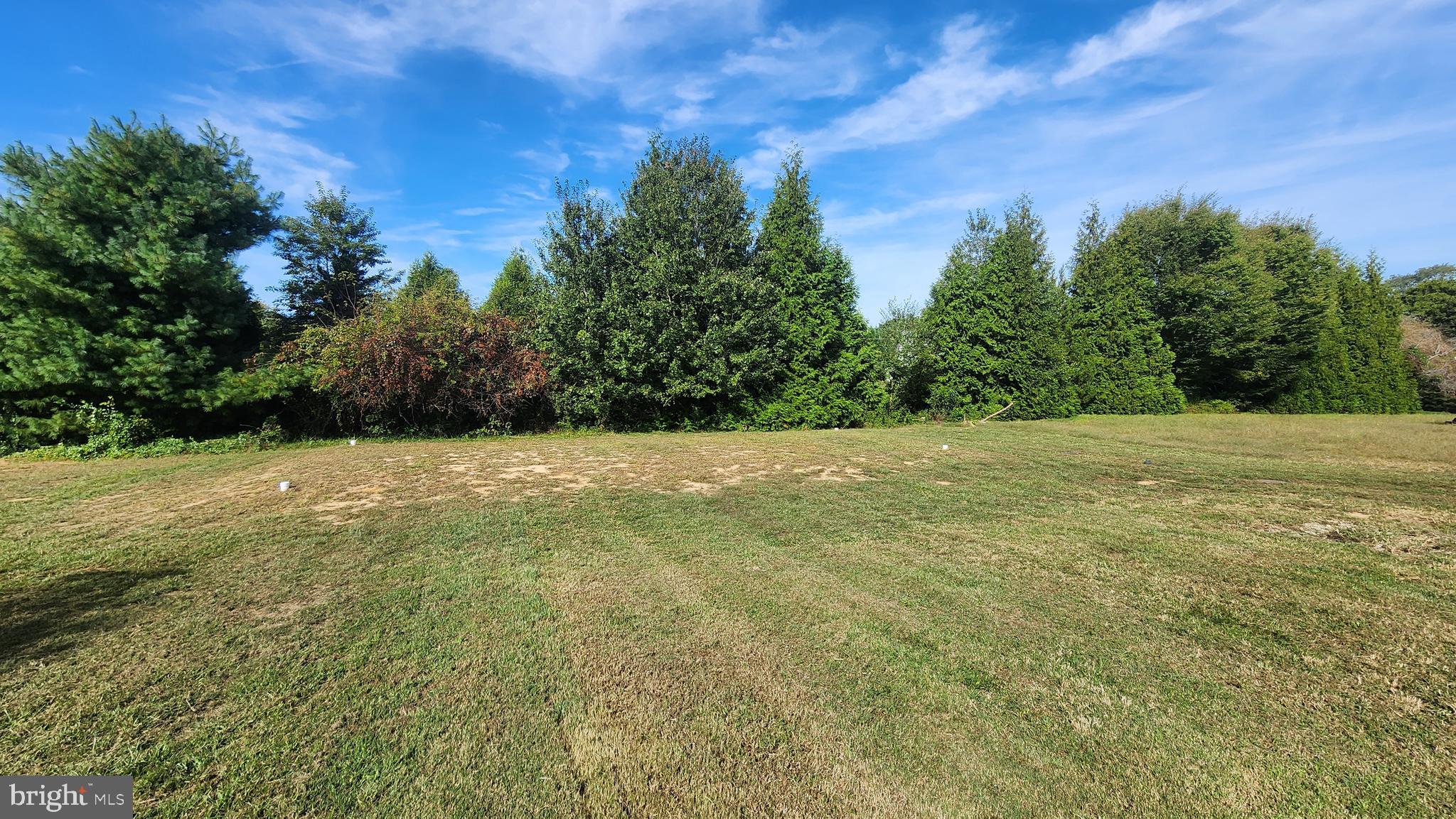 617 Lower Mill Road Pittsgrove, NJ 08318 - Photo 4 of 12 a view of a field with trees in the background
