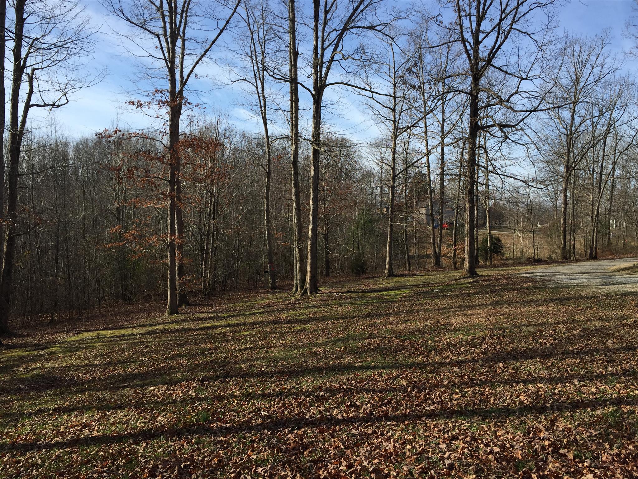 6894 Oak Hill Road Lyles, TN 37098 - Photo 14 of 16 Large yard
