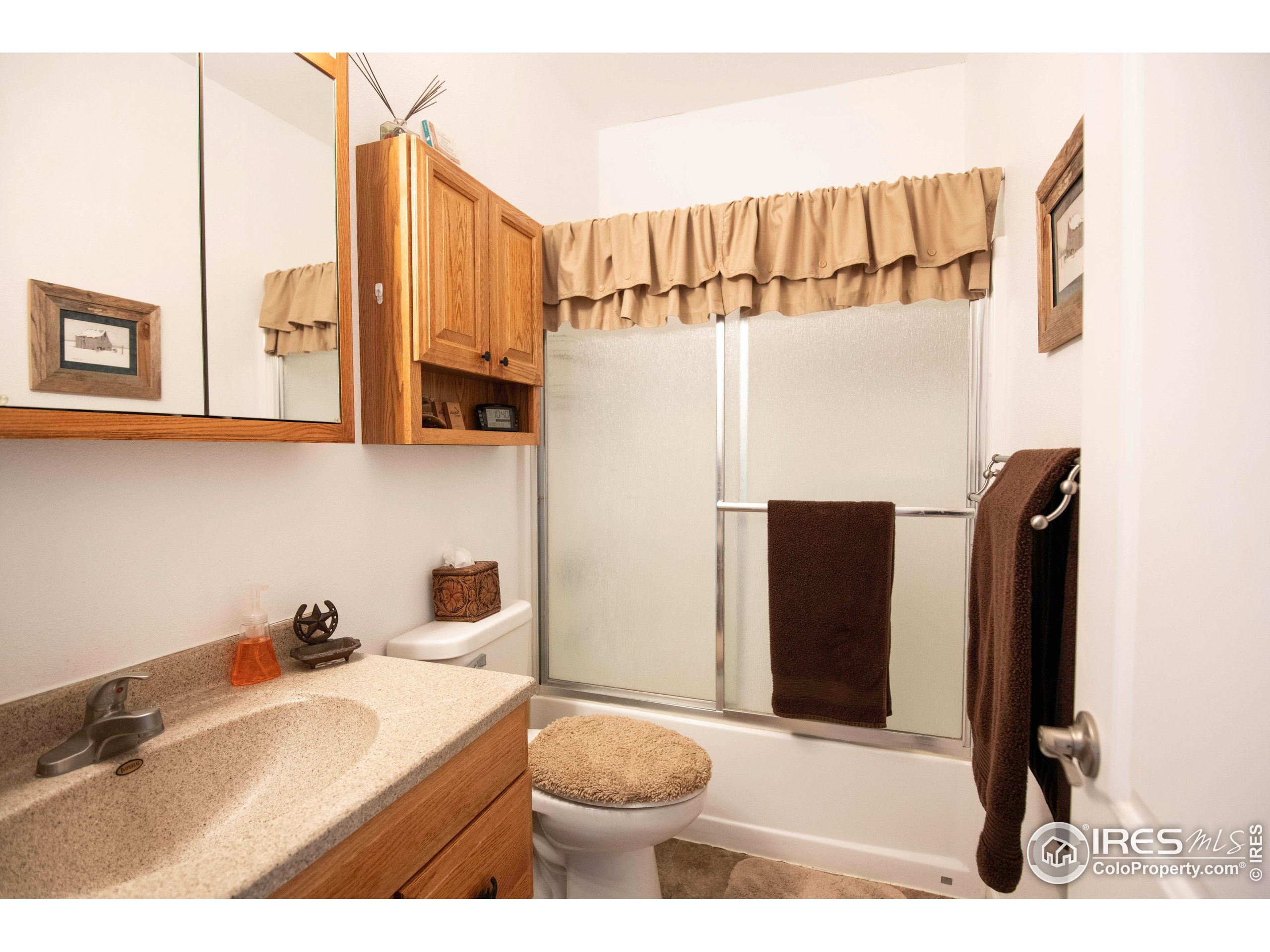 18441 Bandana Lane Wellington, CO 80549 - Photo 13 of 34