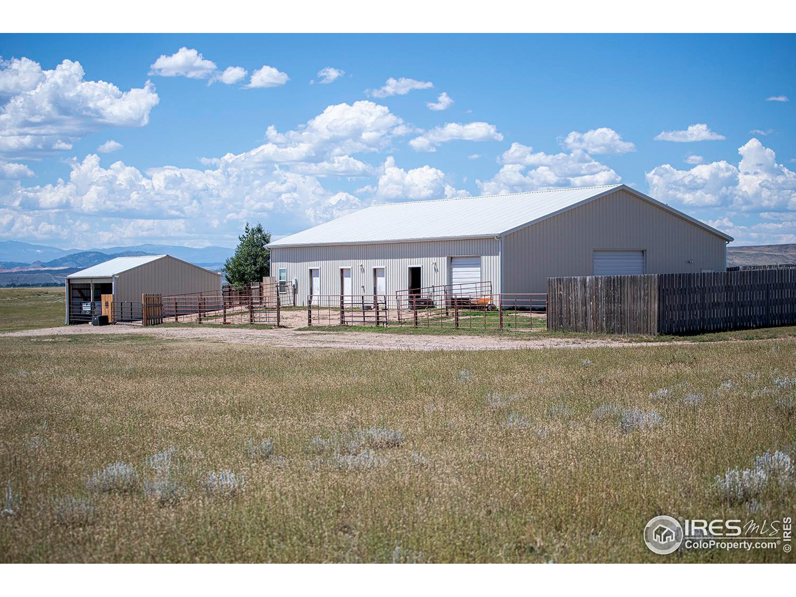 18441 Bandana Lane Wellington, CO 80549 - Photo 21 of 34