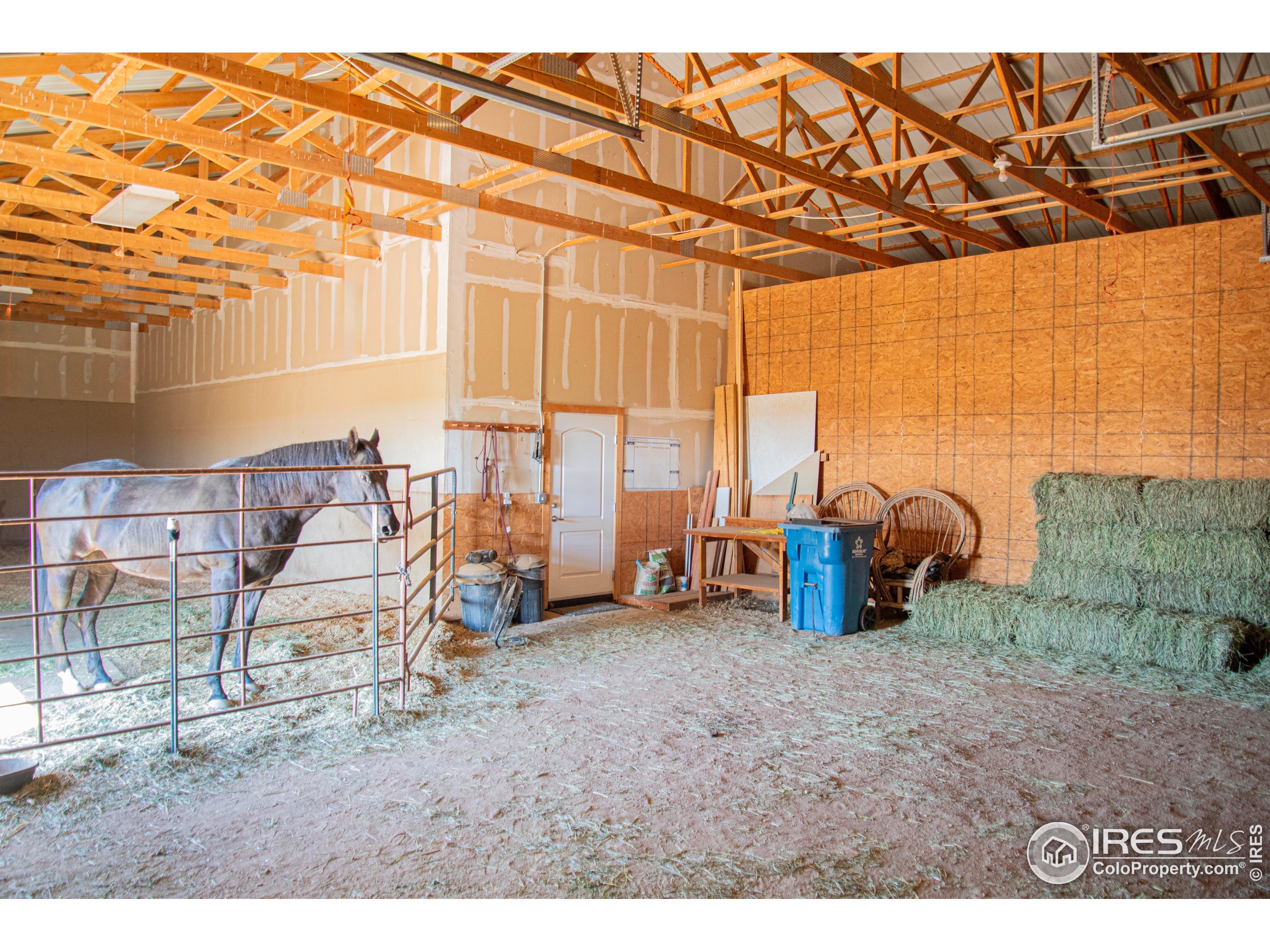 18441 Bandana Lane Wellington, CO 80549 - Photo 27 of 34