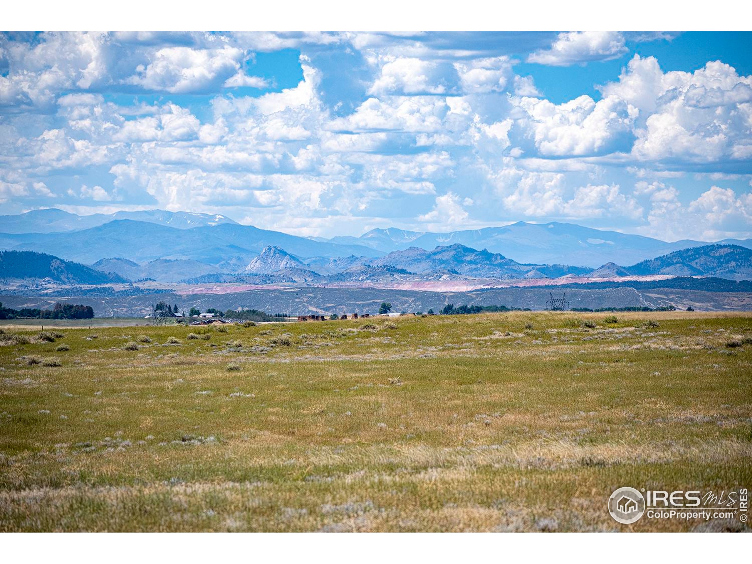 18441 Bandana Lane Wellington, CO 80549 - Photo 5 of 34