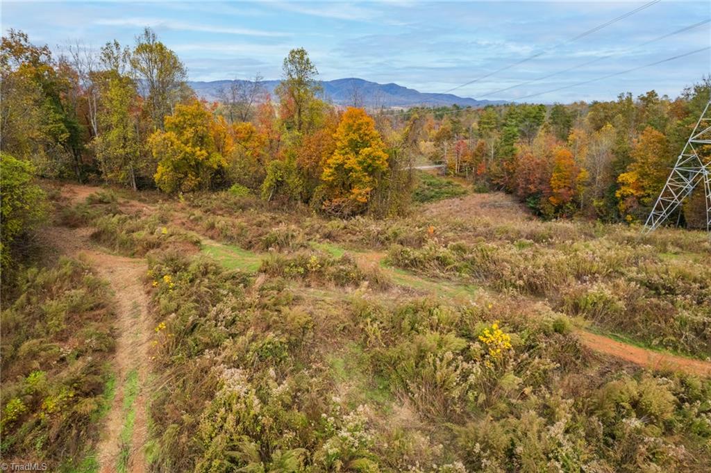 Tbd Billings Hill Church Road Traphill, NC 28685 - Photo 12 of 24
