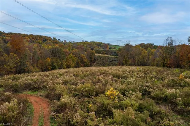 $210,000 | Tbd Billings Hill Church Road, Traphill, NC 28685