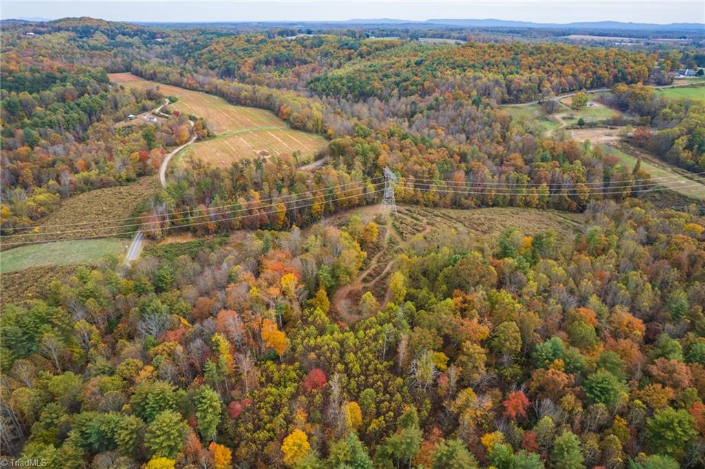 Tbd Billings Hill Church Road Traphill, NC 28685 - Photo 19 of 24