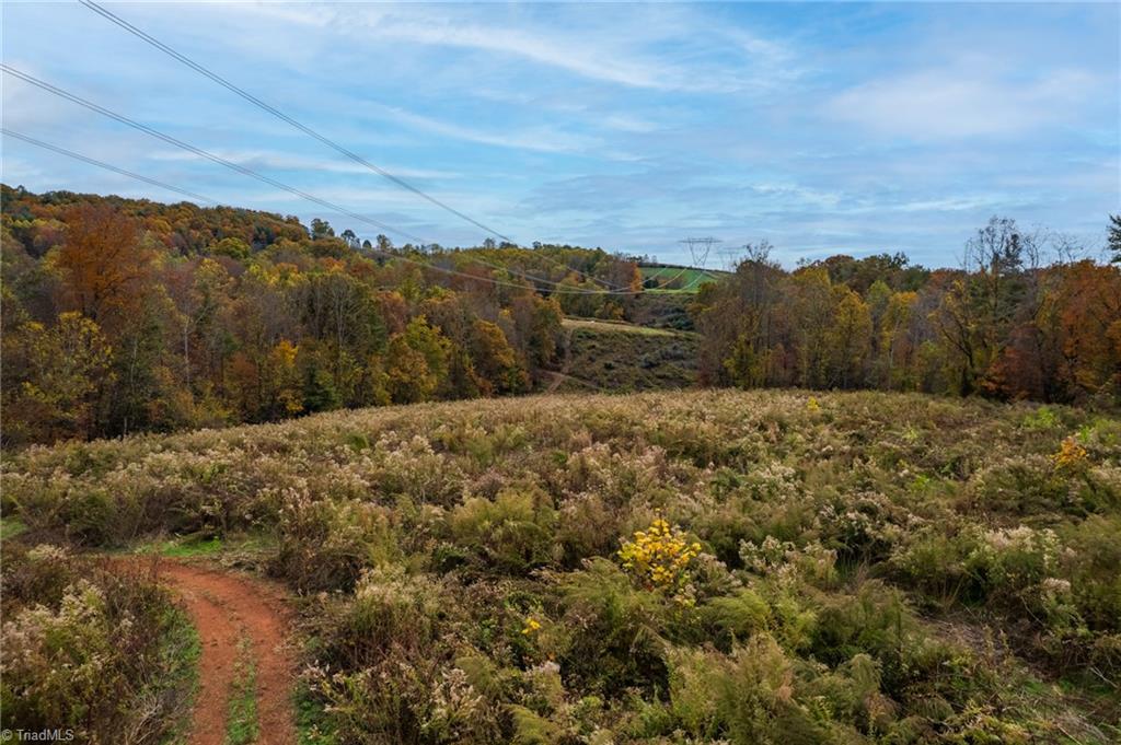Tbd Billings Hill Church Road Traphill, NC 28685 - Photo 5 of 24