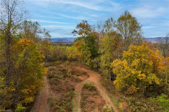 $210,000 | Tbd Billings Hill Church Road, Traphill, NC 28685