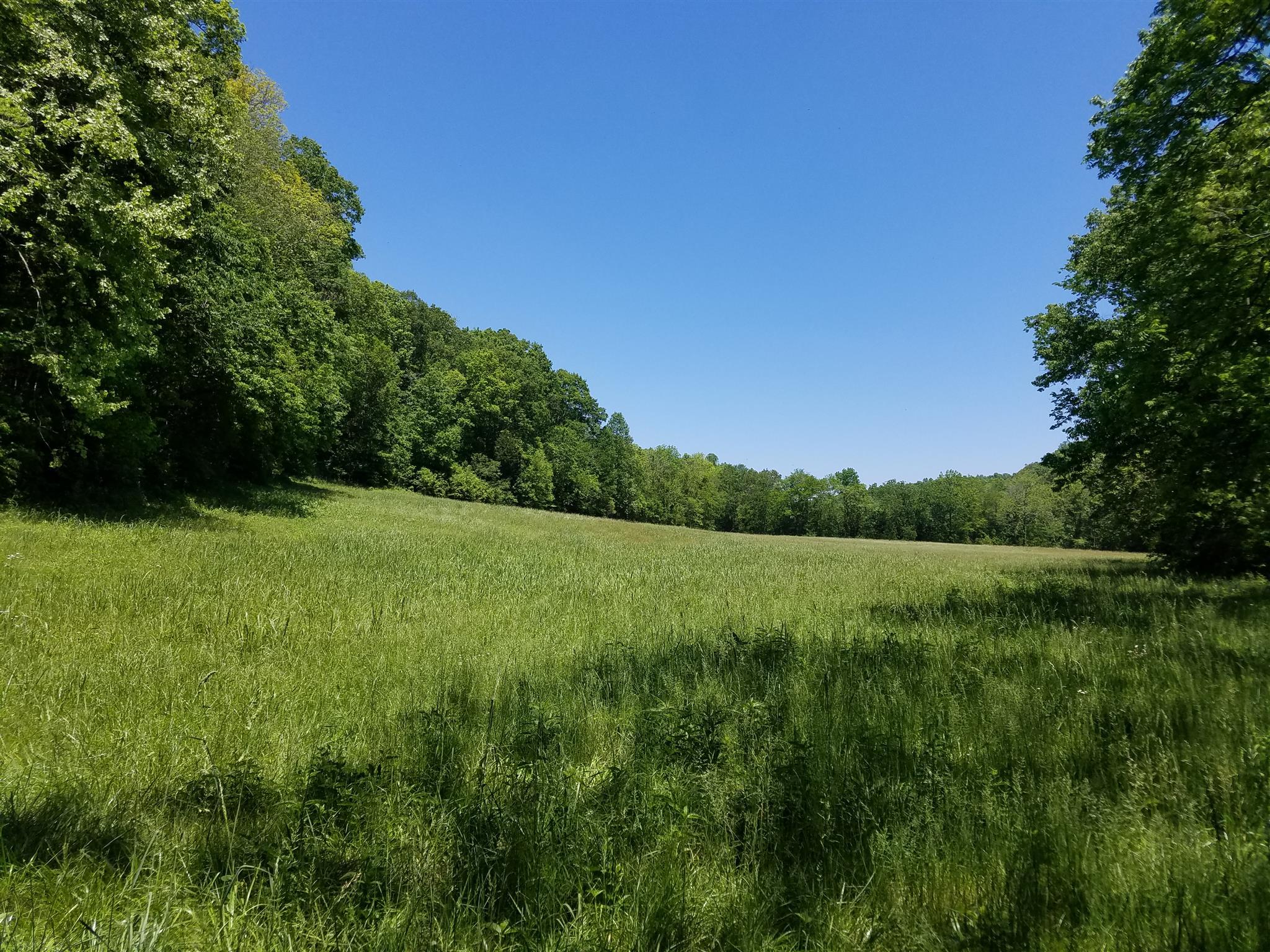 5770 South Lick Creek Road Franklin, TN 37064 - Photo 2 of 5 a view of a green field with wooden fence