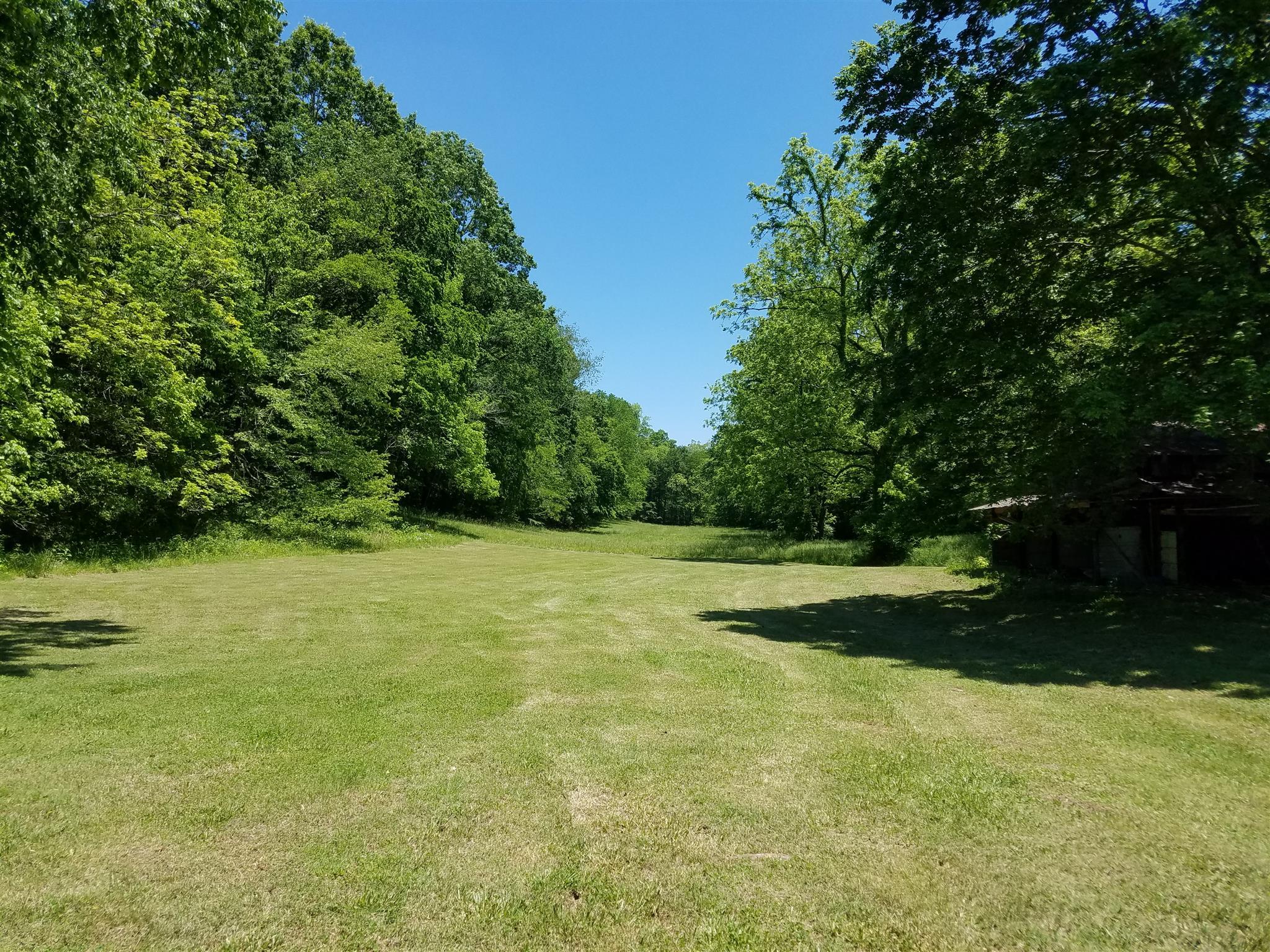 5770 South Lick Creek Road Franklin, TN 37064 - Photo 3 of 5 a view of a green yard