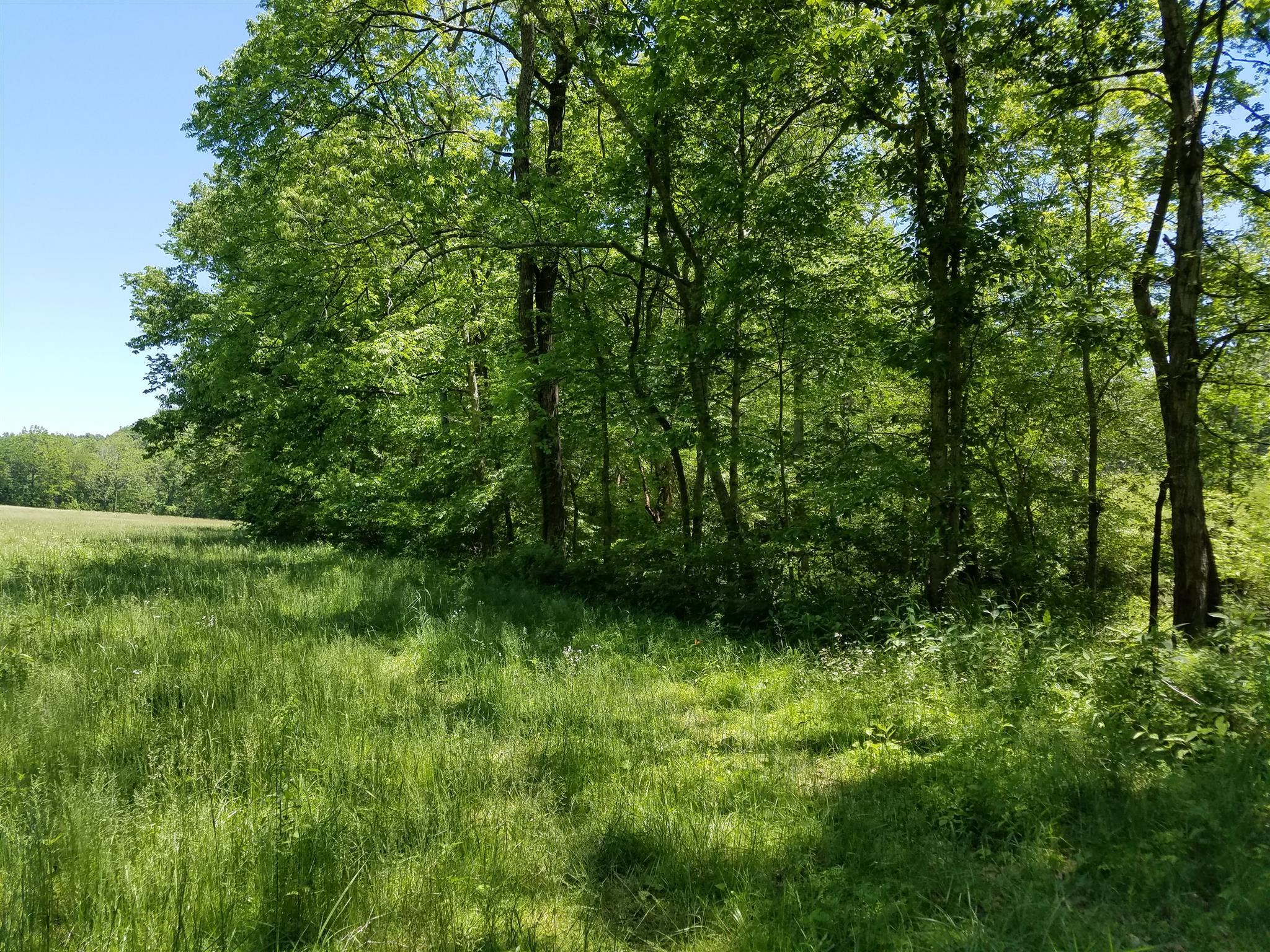 5770 South Lick Creek Road Franklin, TN 37064 - Photo 4 of 5 a view of a lush green forest