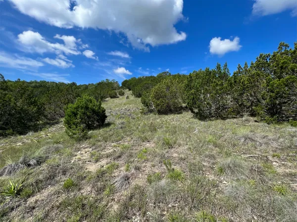 a view of a big yard with table and chairs and large trees