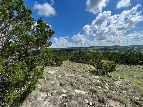a view of a yard in front of a house