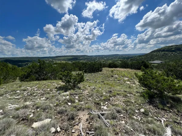 a view of a field with a tree