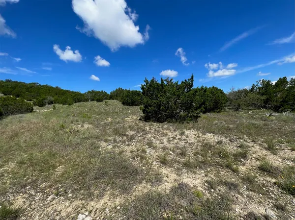 a view of a big yard with potted plants