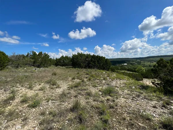 a view of a tree with a yard