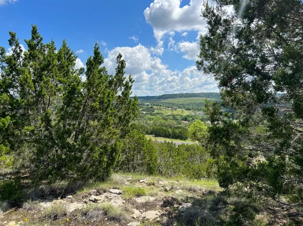 a view of a bunch of trees