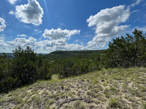 a view of a bunch of flowers in middle of the green field