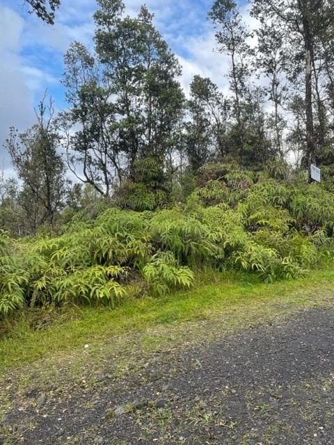 909 Oahu Road Pahoa, HI 96778 - Photo 1 of 5 Gallery Image 1