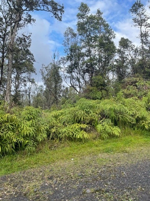 909 Oahu Road Pahoa, HI 96778 - Photo 3 of 5 Gallery Image 3