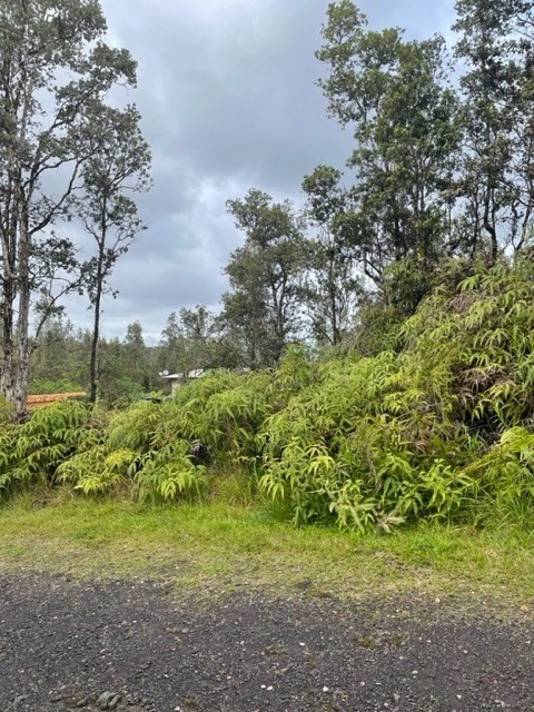 909 Oahu Road Pahoa, HI 96778 - Photo 4 of 5 Gallery Image 4
