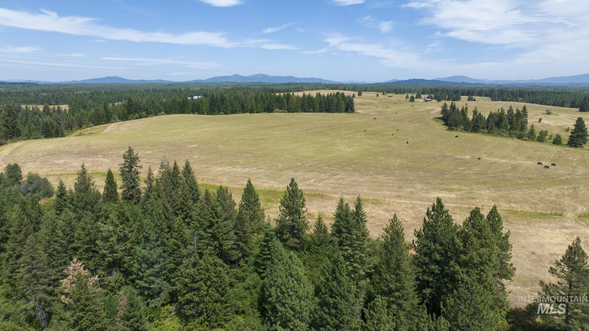 1605 Jasmine Lane Weippe, ID 83553 - Photo 2 of 11