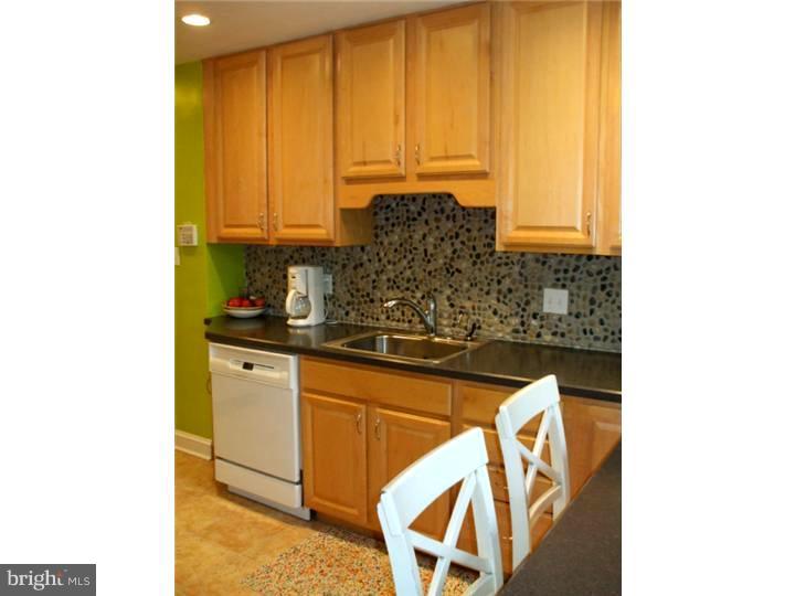 509 Williams Road Wynnewood, PA 19096 - Photo 7 of 15 Kitchen