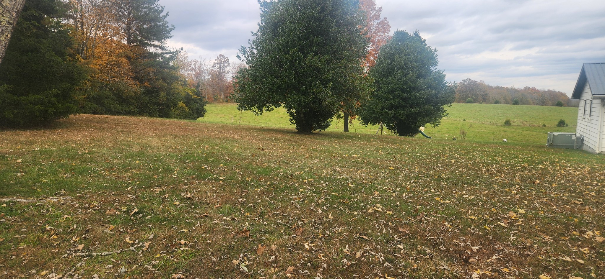 a view of a field with trees in the background