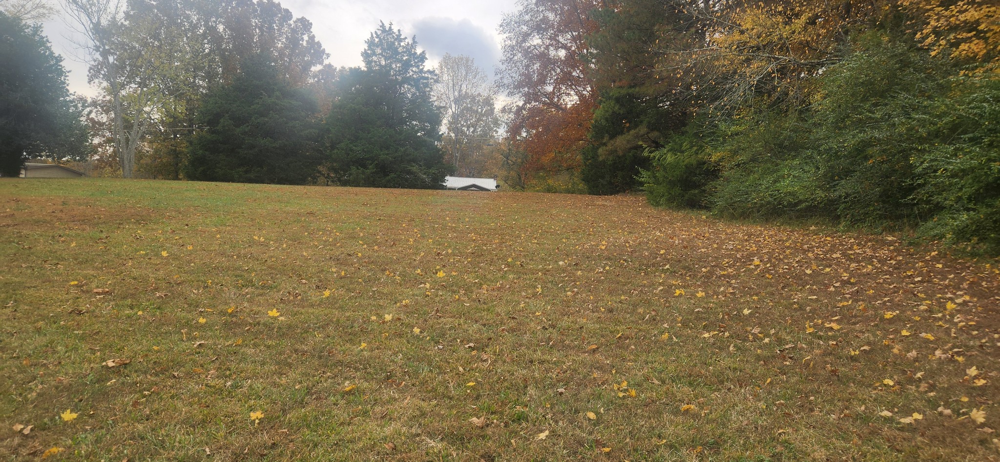 0 Cedar Park Road Centerville, TN 37033 - Photo 3 of 6 a view of outdoor space and yard