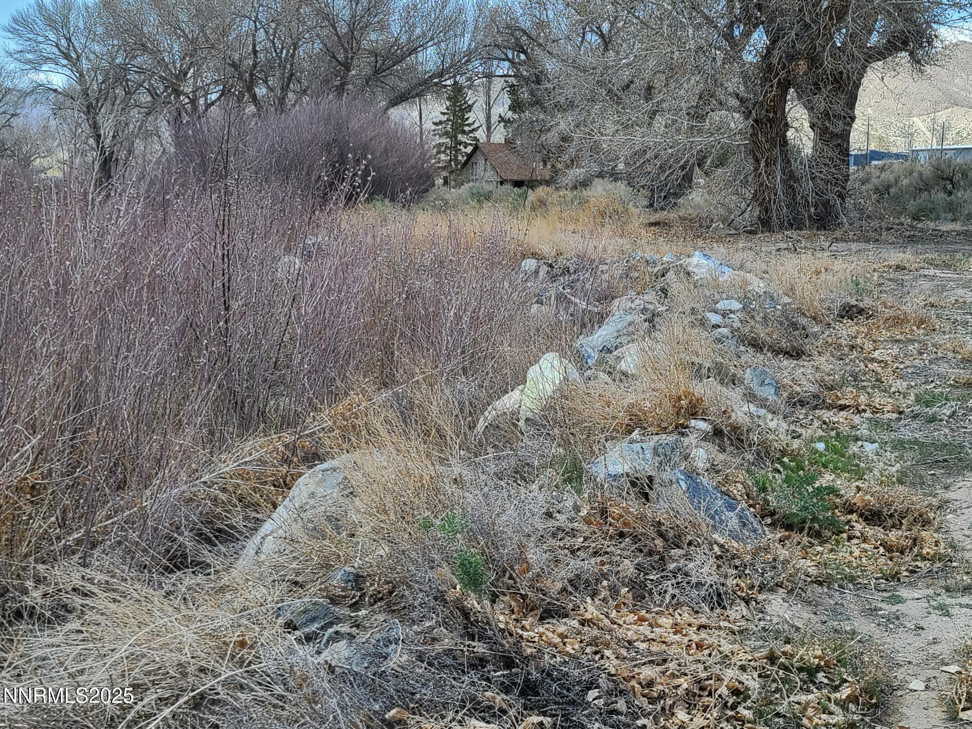 7 Margaroly Way Yerington, NV 89447 - Photo 2 of 9 a view of a dry yard