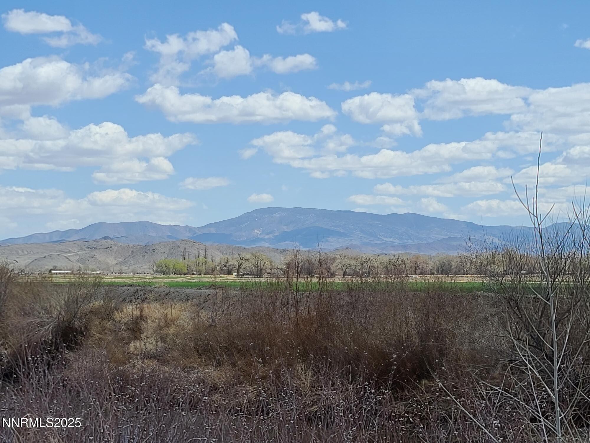 7 Margaroly Way Yerington, NV 89447 - Photo 6 of 9 a view of mountain with lake view