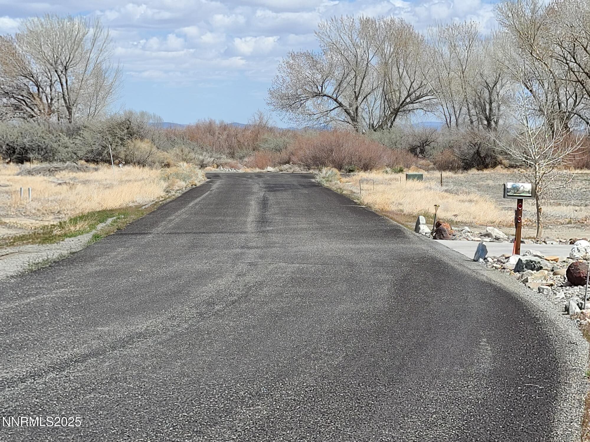 7 Margaroly Way Yerington, NV 89447 - Photo 8 of 9 a view of a road with yard