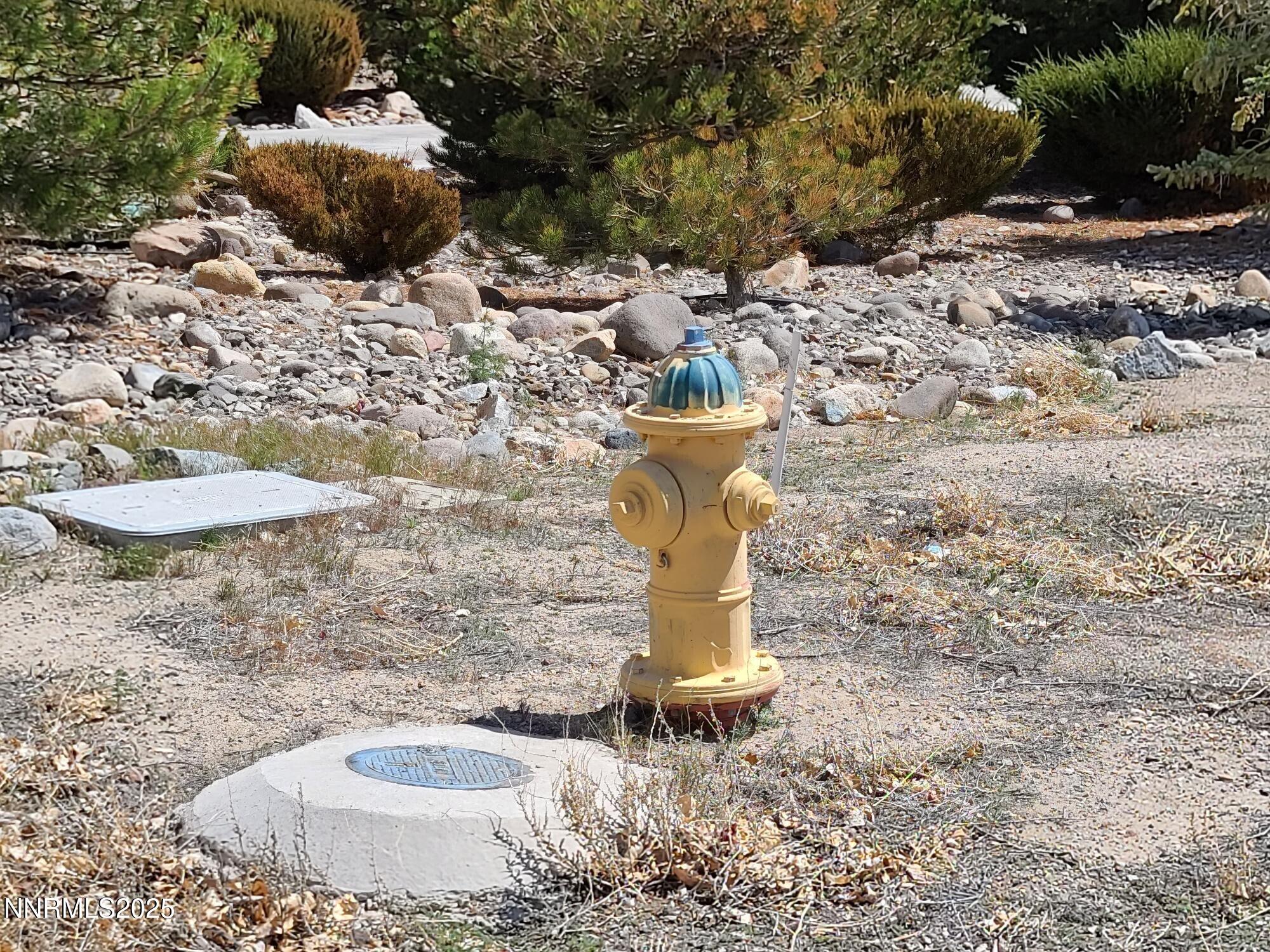 7 Margaroly Way Yerington, NV 89447 - Photo 9 of 9 a water fountain in the middle of a yard