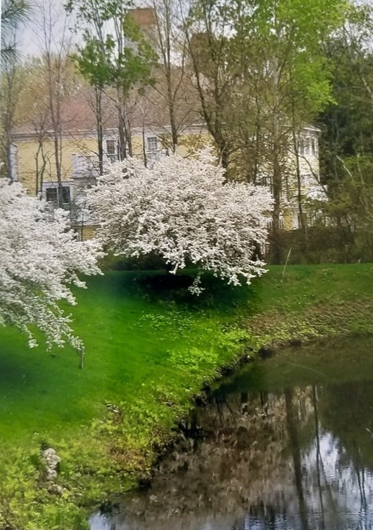 1 Riverview Boulevard, Unit 7204 Methuen, MA 01844 - Photo 18 of 20