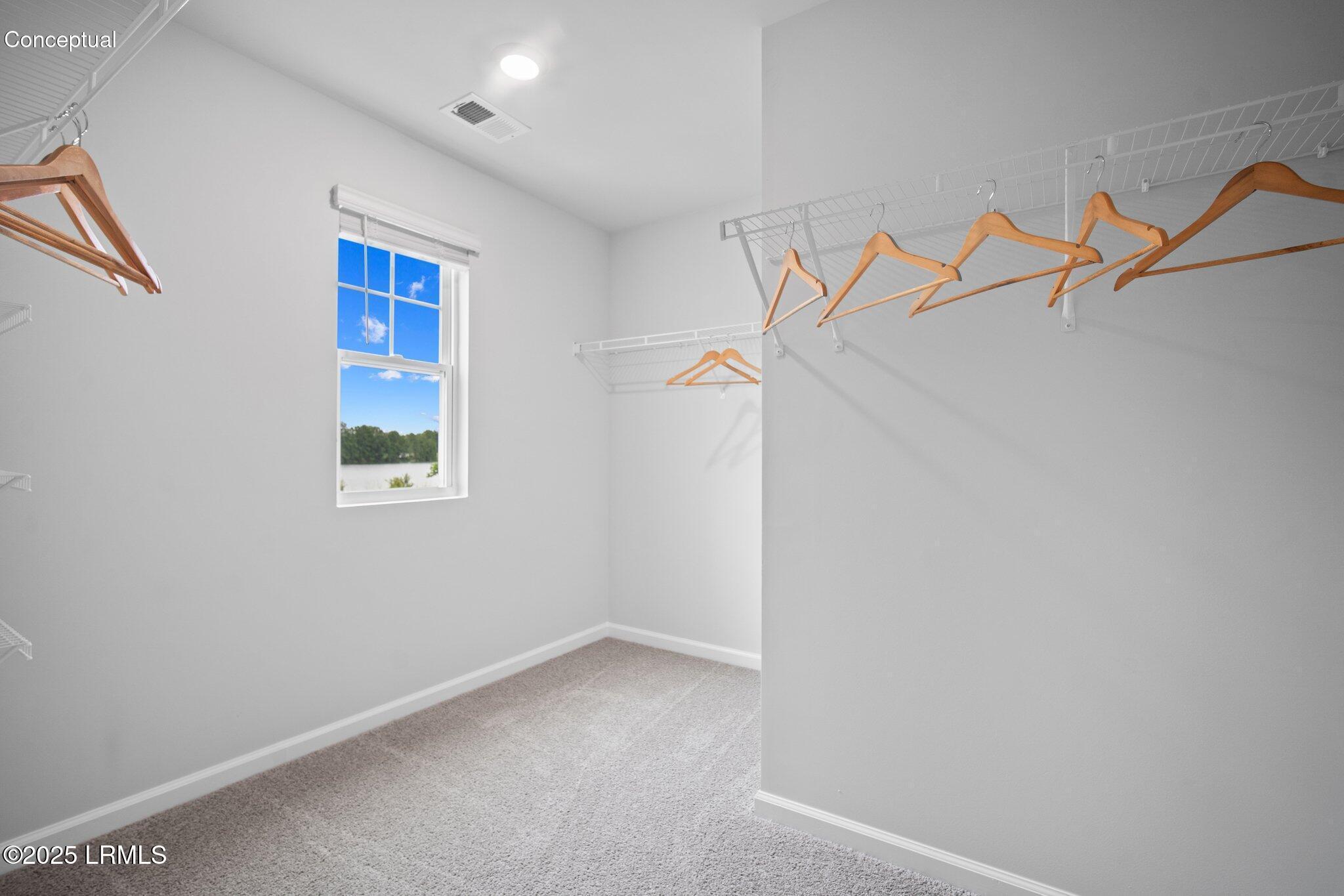 1036 Sanctum Street Ridgeland, SC 29936 - Photo 22 of 40 29 Primary Closet