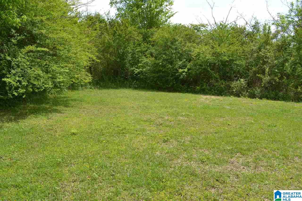 4385 Ebell Road Oneonta, AL 35121 - Photo 1 of 12 Gallery Image 1