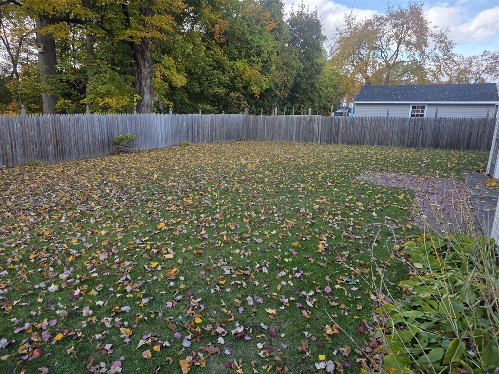 80 Ann Street Chicopee, MA 01020 - Photo 4 of 20 a view of a backyard