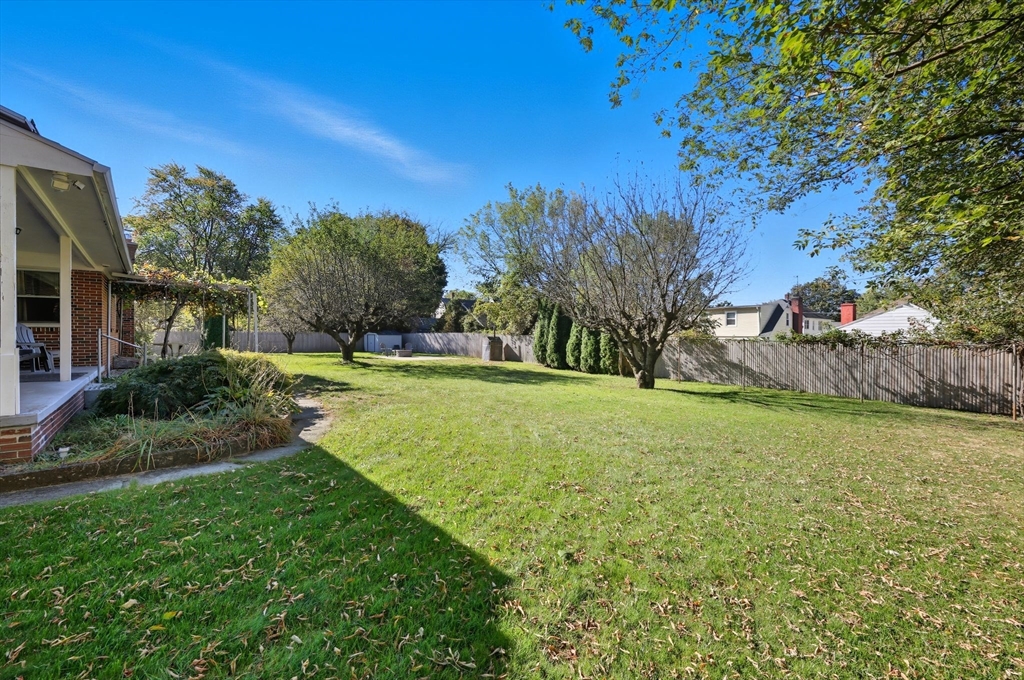 20 Connolly Street Springfield, MA 01151 - Photo 36 of 41 a view of a field with plants and trees