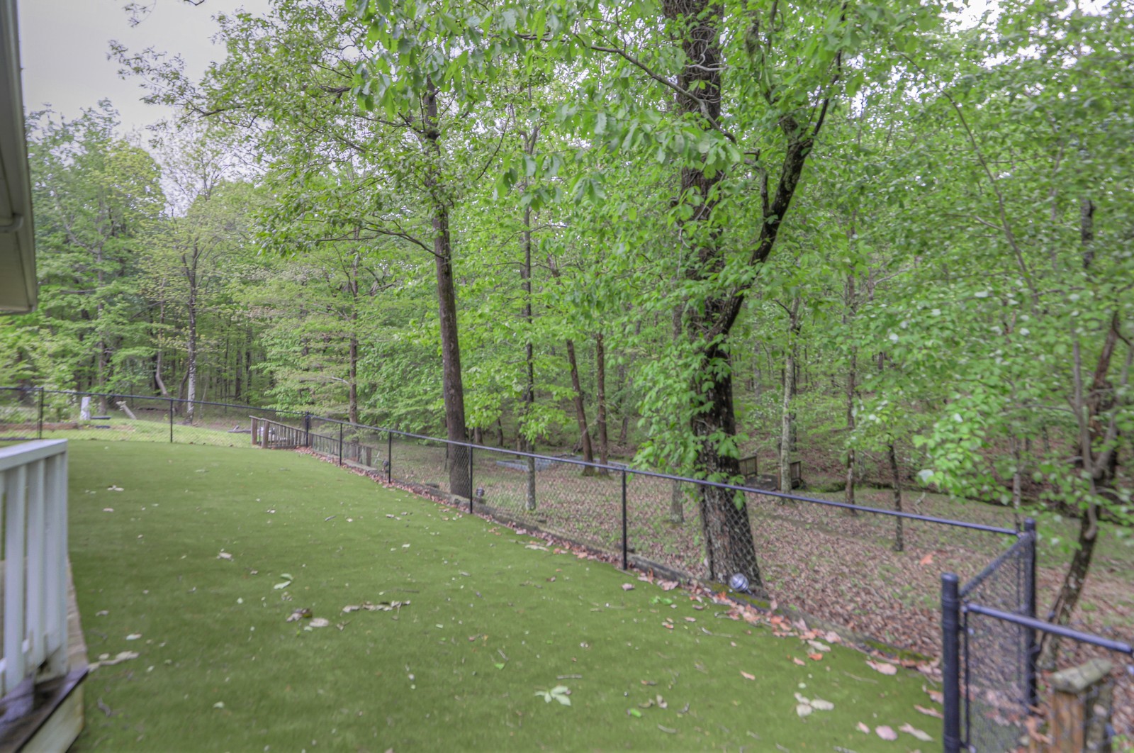 807 Timberwood Trace Monteagle, TN 37356 - Photo 45 of 64 a view of a trees with a yard