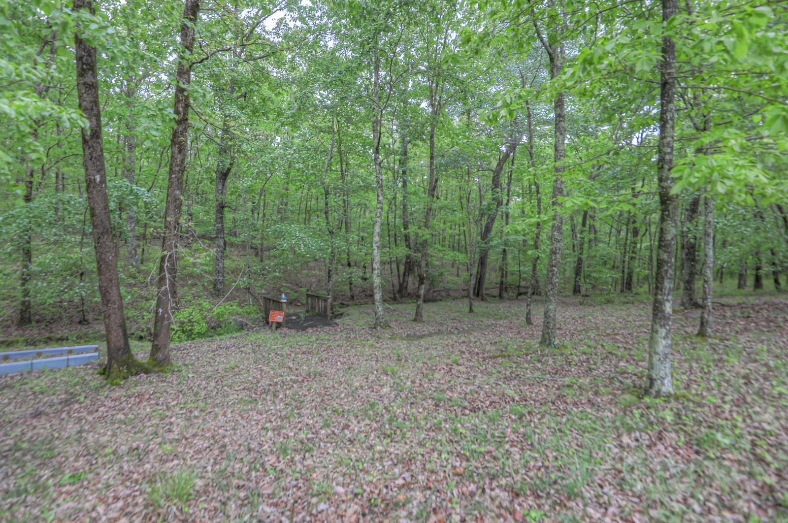 807 Timberwood Trace Monteagle, TN 37356 - Photo 48 of 64 a view of a forest with trees in the background