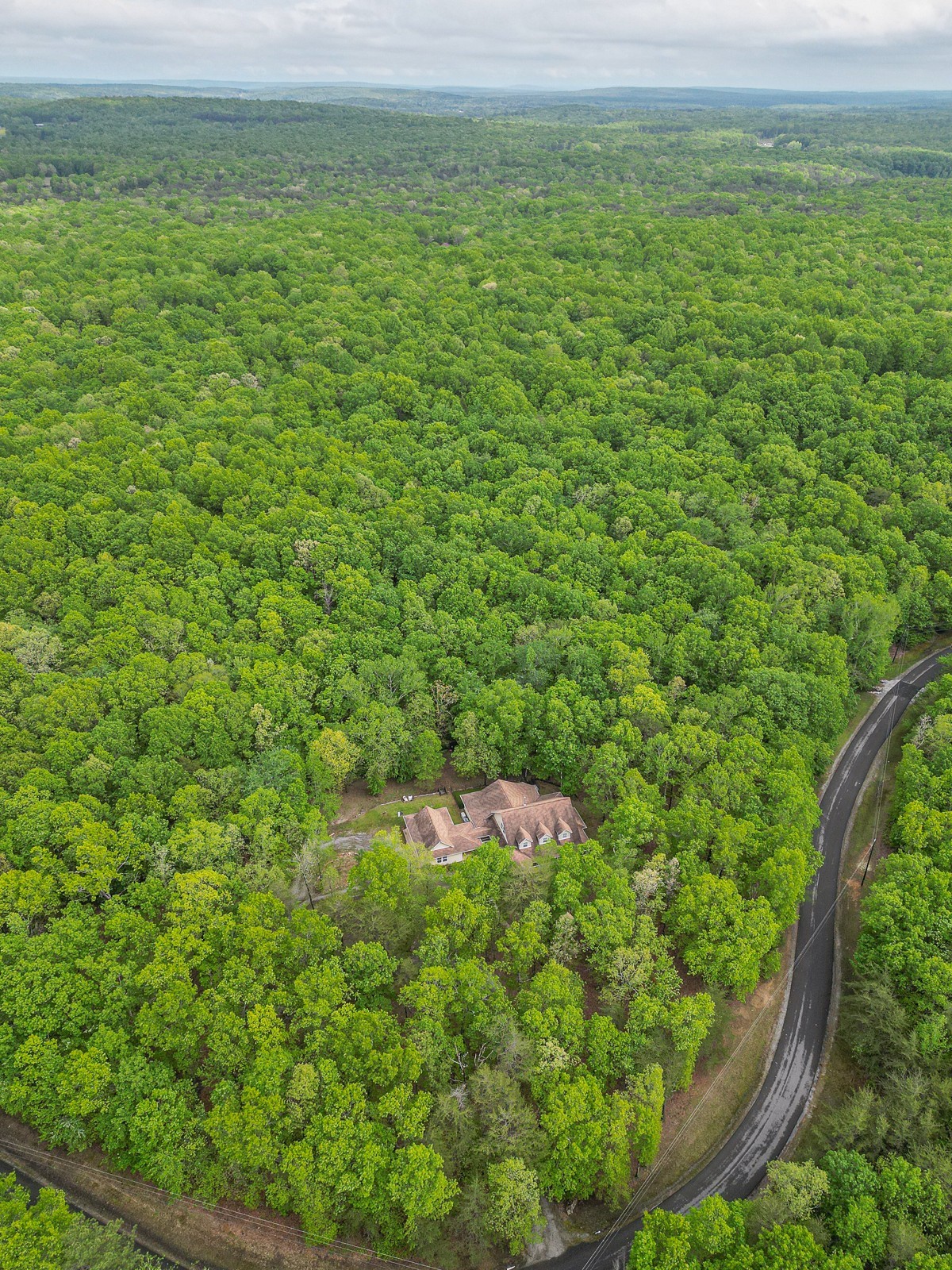 807 Timberwood Trace Monteagle, TN 37356 - Photo 50 of 64 a view of a field with an ocean view