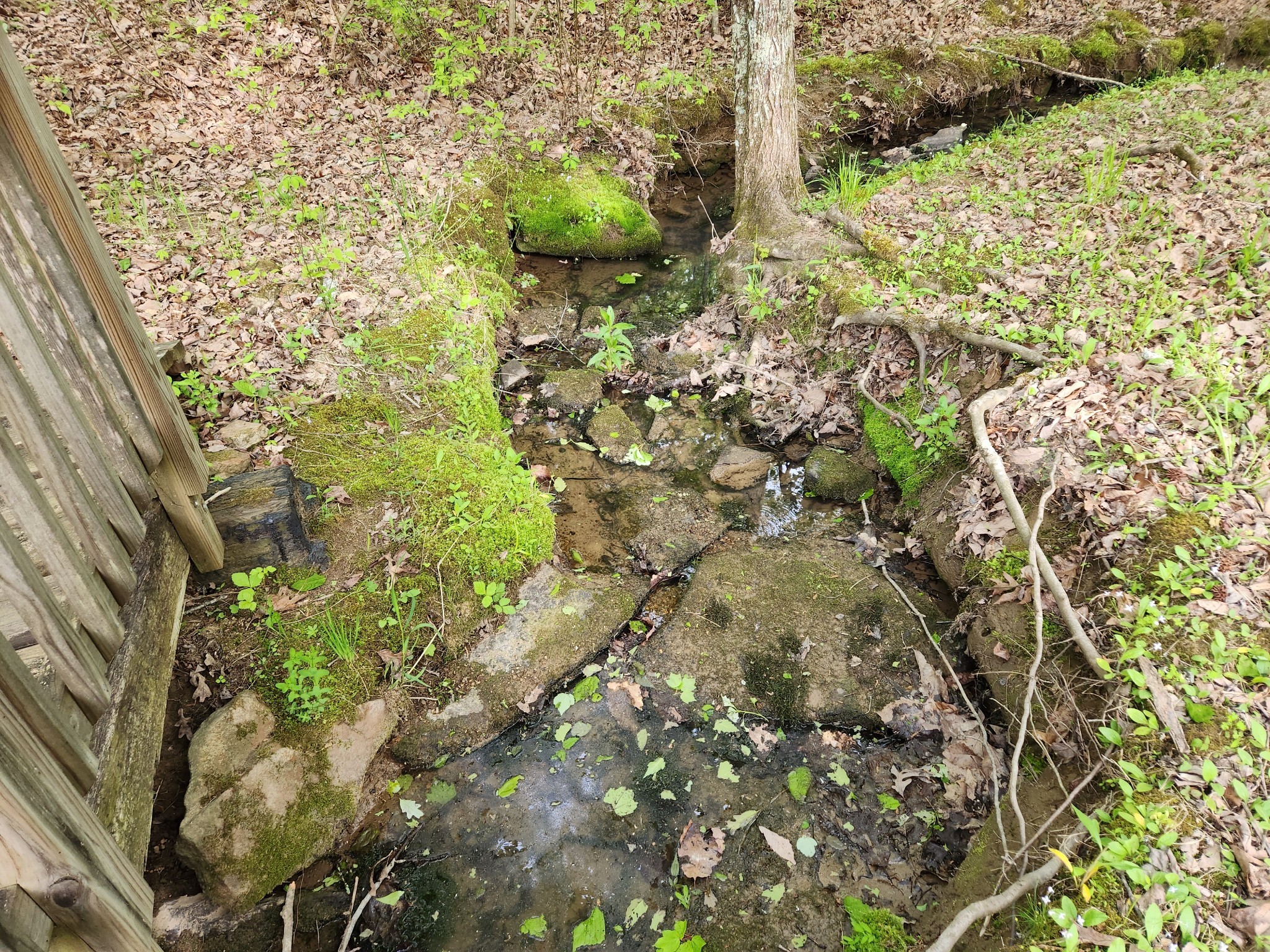 807 Timberwood Trace Monteagle, TN 37356 - Photo 5 of 64