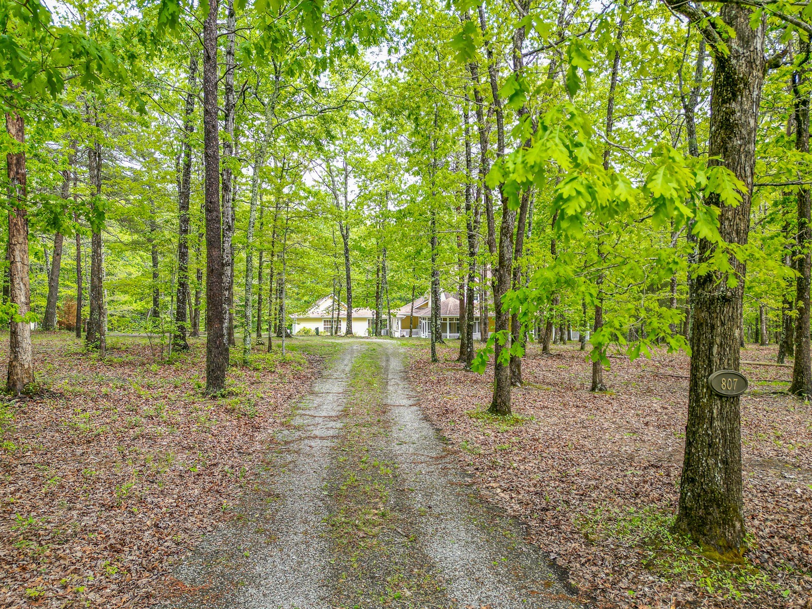 807 Timberwood Trace Monteagle, TN 37356 - Photo 51 of 64 a view of outdoor space with lots of trees