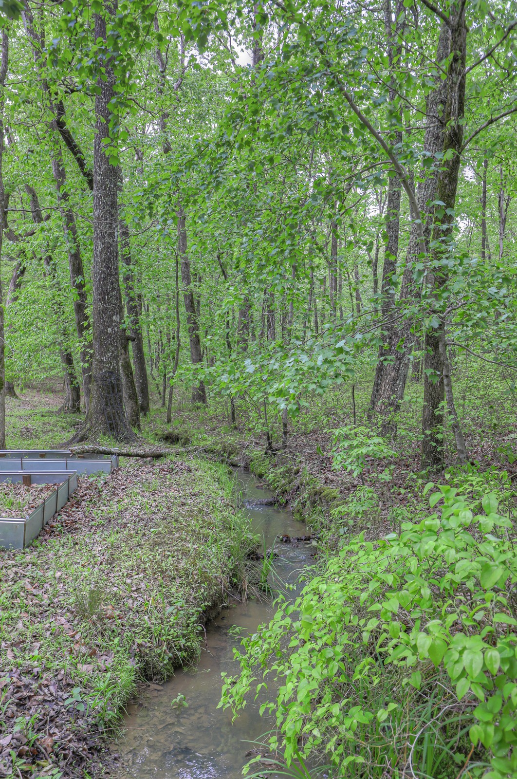 807 Timberwood Trace Monteagle, TN 37356 - Photo 56 of 64