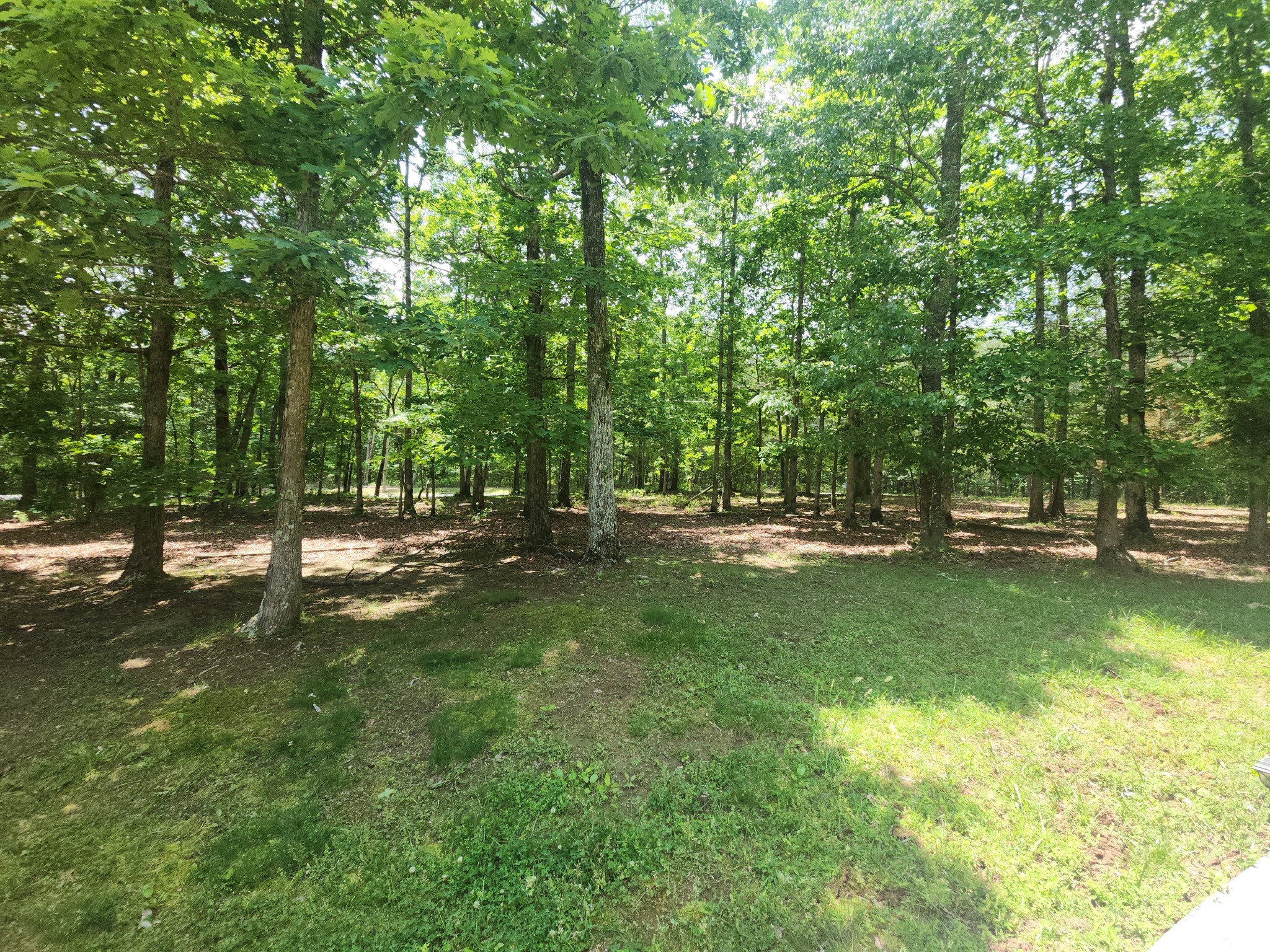 807 Timberwood Trace Monteagle, TN 37356 - Photo 60 of 64